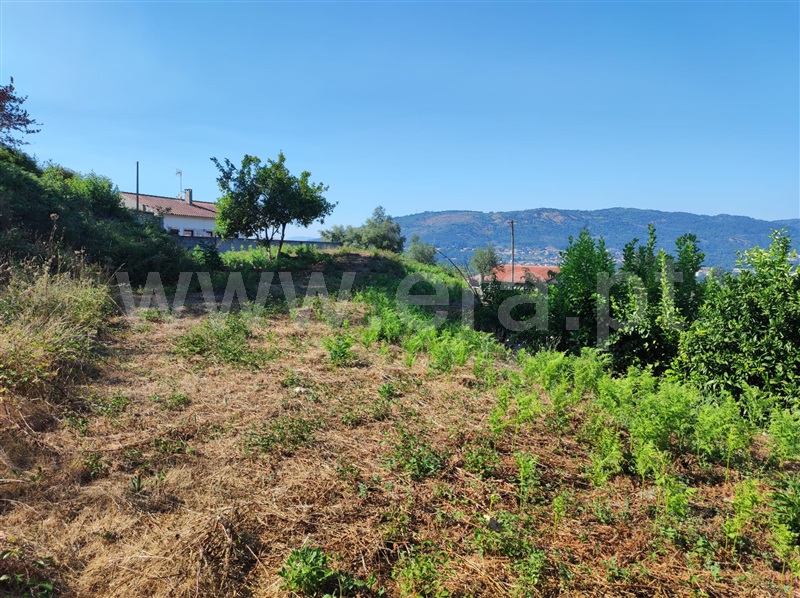 Terreno Misto  Barcelos, Durrães e Tregosa - 1497165 - 7