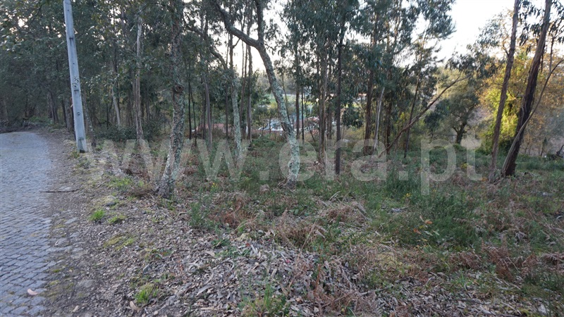 Terreno Misto  Barcelos, Fragoso - 1313690 - 2