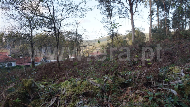 Terreno Misto  Barcelos, Fragoso - 1313690 - 6