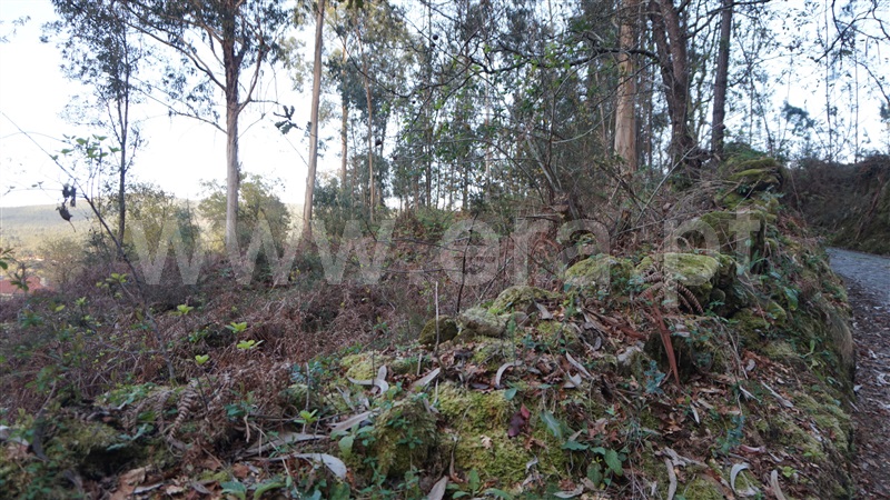 Terreno Misto  Barcelos, Fragoso - 1313690 - 7
