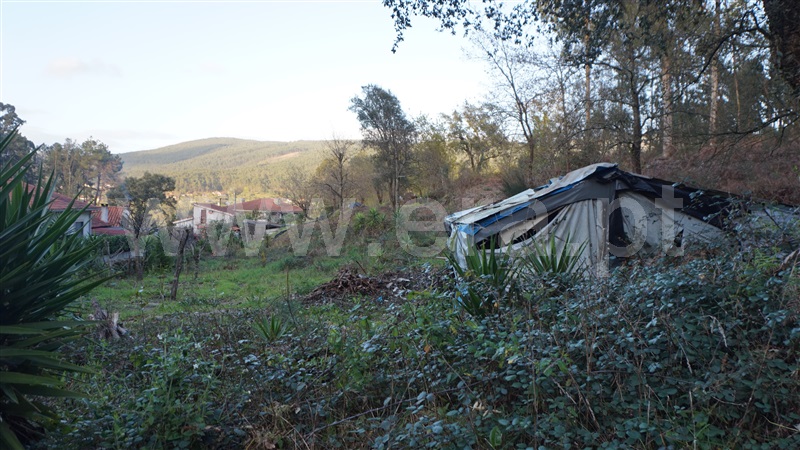 Terreno Misto  Barcelos, Fragoso - 1313690 - 8