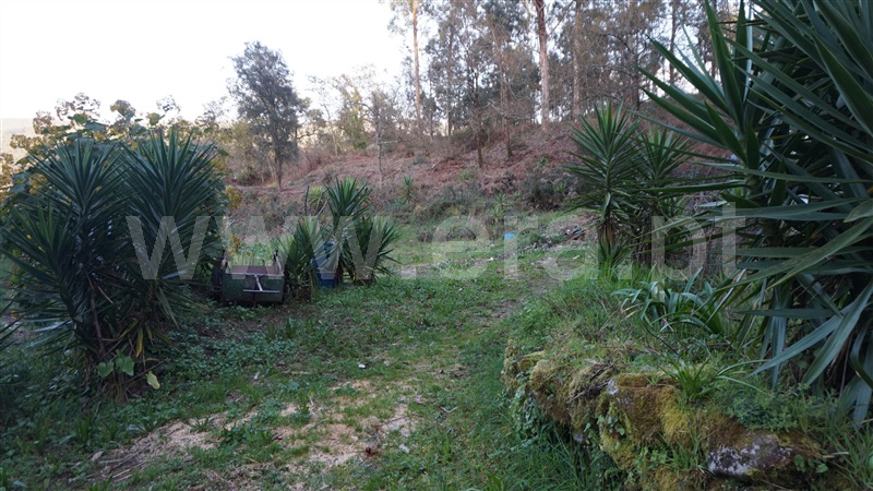 Terreno Misto / Barcelos, Fragoso