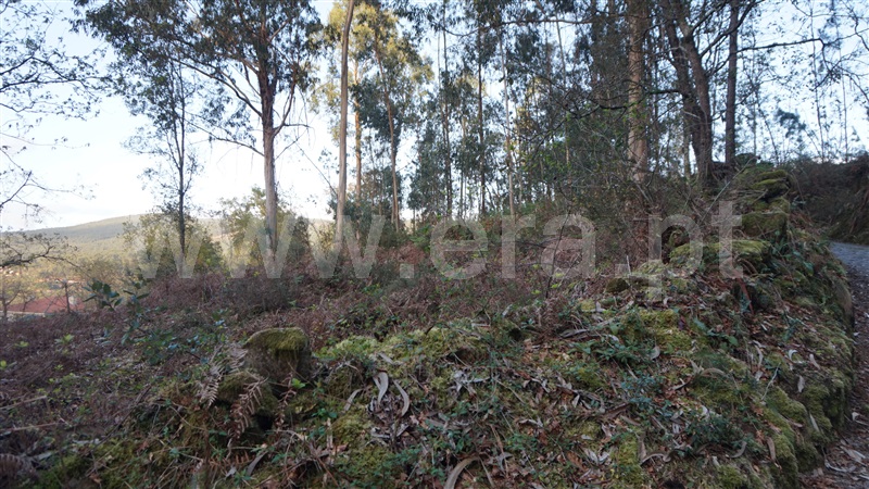 Terreno Misto  Barcelos, Fragoso - 1313690 - 10