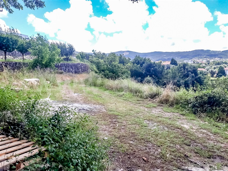 Terreno Misto / Barcelos, Fragoso