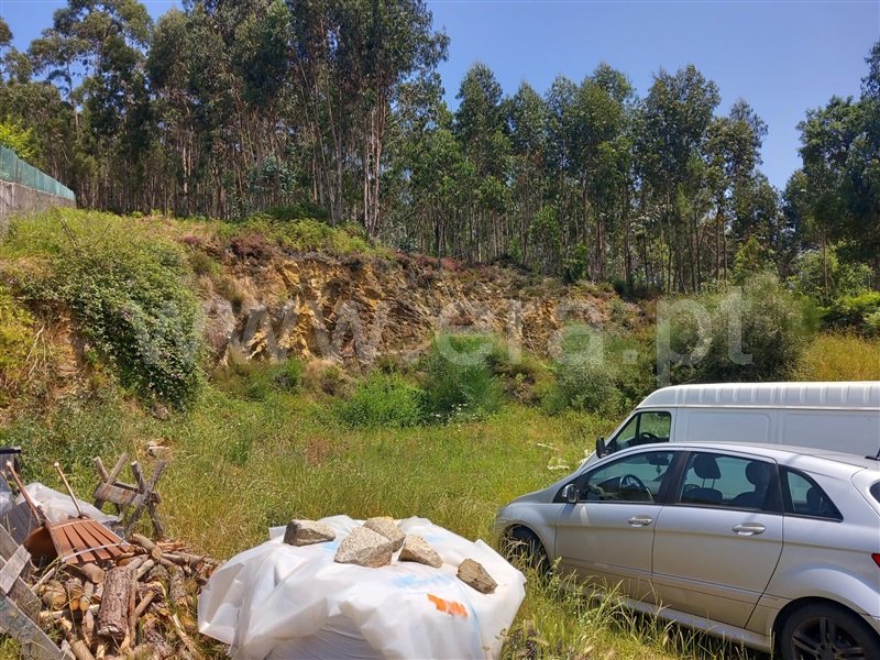 Terreno Misto / Barcelos, Fragoso