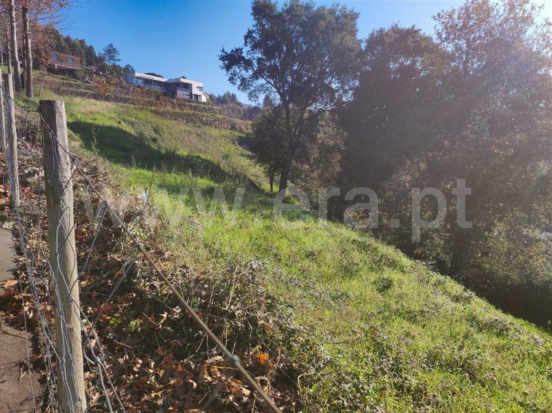 Terreno Misto / Barcelos, Fragoso