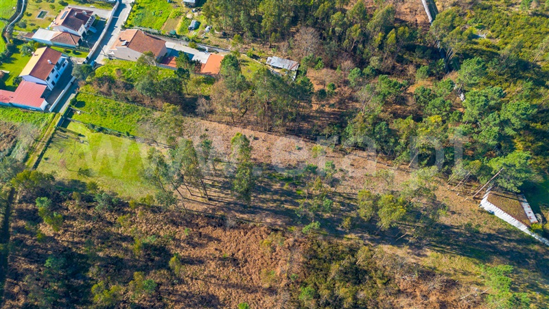Terreno Misto  Barcelos, Galegos (Santa Maria) - 1457664 - 2
