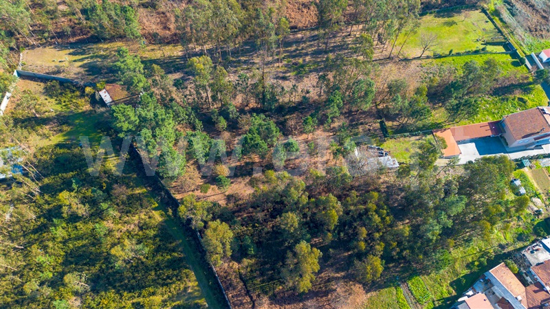 Terreno Misto / Barcelos, Galegos (Santa Maria)