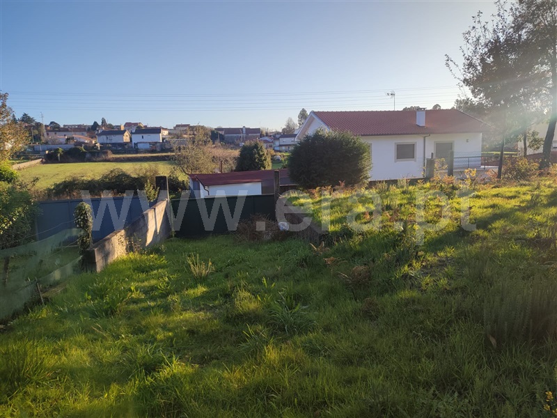 Terreno Misto  Barcelos, Galegos (Santa Maria) - 1457664 - 9