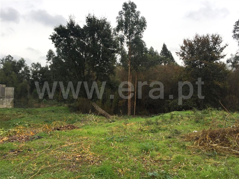 Terreno Misto / Barcelos, Manhente