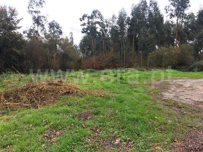 Terreno Misto  Barcelos, Manhente - 960376 - 5