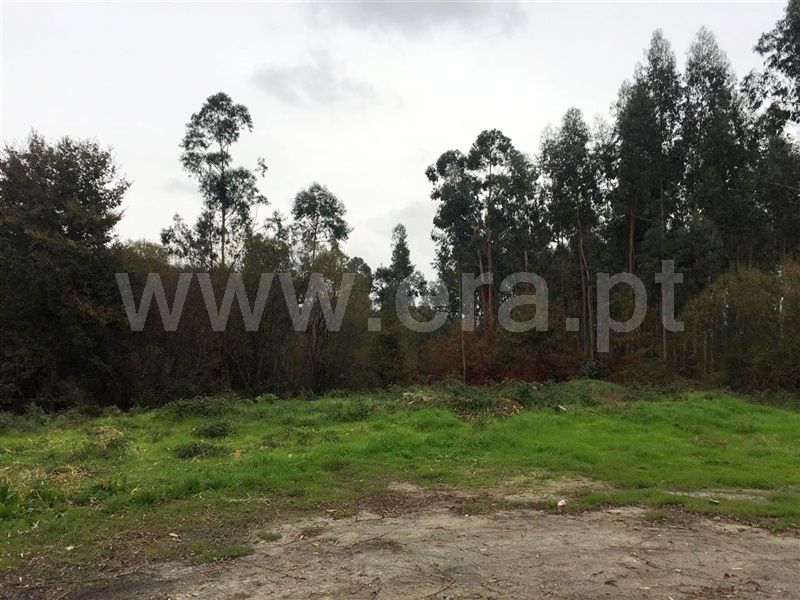 Terreno Misto  Barcelos, Manhente - 960376 - 4