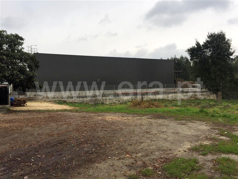 Terreno Misto  Barcelos, Manhente - 960376 - 3