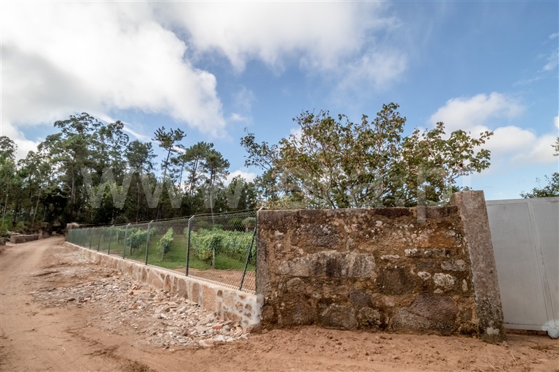 Terreno Misto  Barcelos, Milhazes, Vilar de Figos e Faria - 1419095 - 4