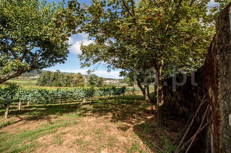 Terreno Misto  Barcelos, Milhazes, Vilar de Figos e Faria - 1419095 - 6