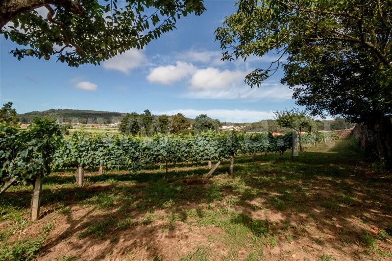 Terreno Misto  Barcelos, Milhazes, Vilar de Figos e Faria - 1419095 - 10