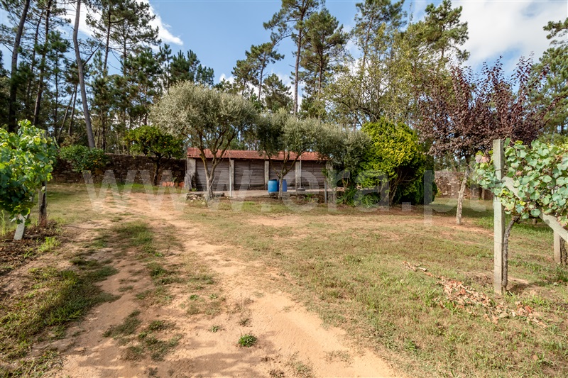 Terreno Misto  Barcelos, Milhazes, Vilar de Figos e Faria - 1419095 - 11