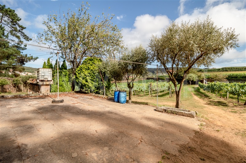 Terreno Misto  Barcelos, Milhazes, Vilar de Figos e Faria - 1419095 - 15