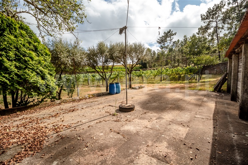 Terreno Misto  Barcelos, Milhazes, Vilar de Figos e Faria - 1419095 - 16