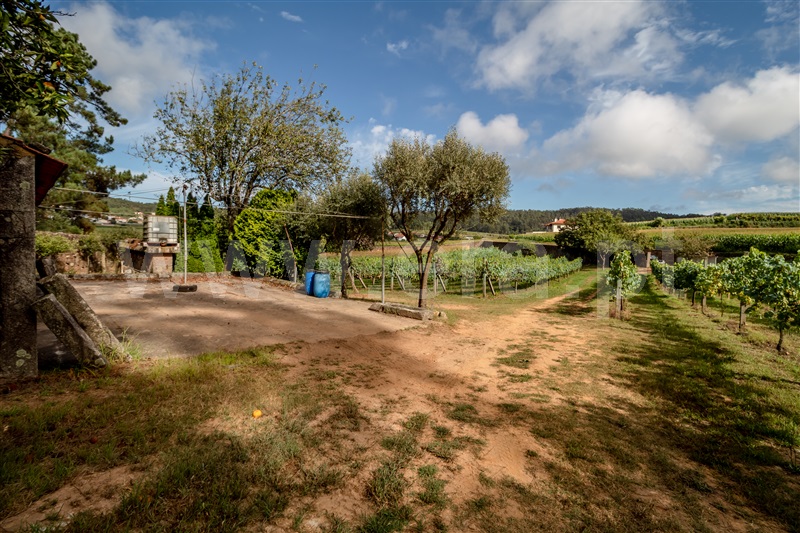 Terreno Misto  Barcelos, Milhazes, Vilar de Figos e Faria - 1419095 - 17