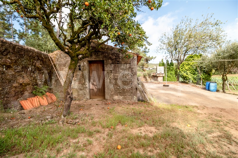 Terreno Misto  Barcelos, Milhazes, Vilar de Figos e Faria - 1419095 - 18