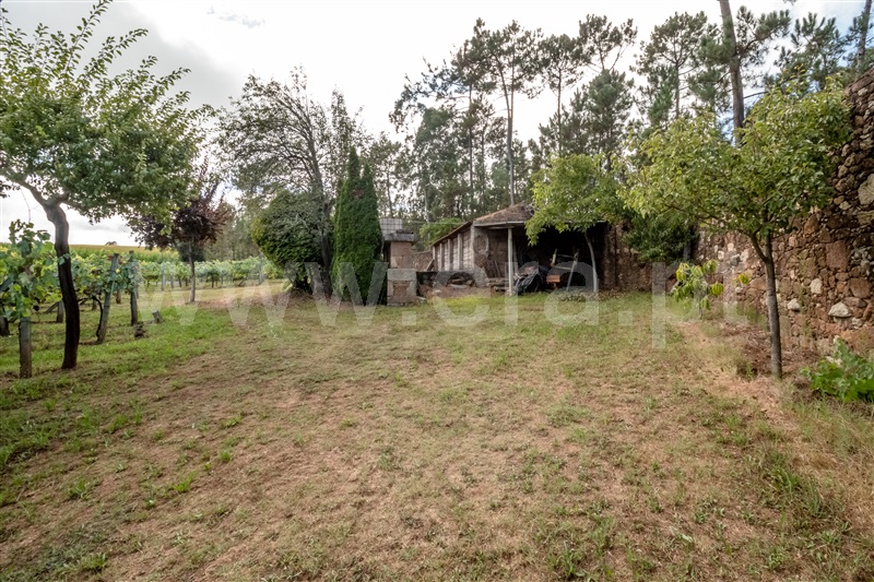 Terreno Misto  Barcelos, Milhazes, Vilar de Figos e Faria - 1419095 - 20
