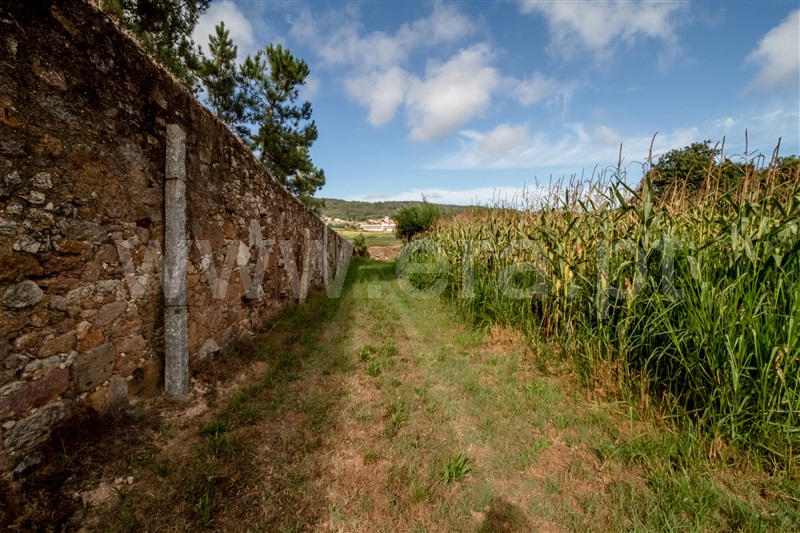 Terreno Misto  Barcelos, Milhazes, Vilar de Figos e Faria - 1419095 - 21