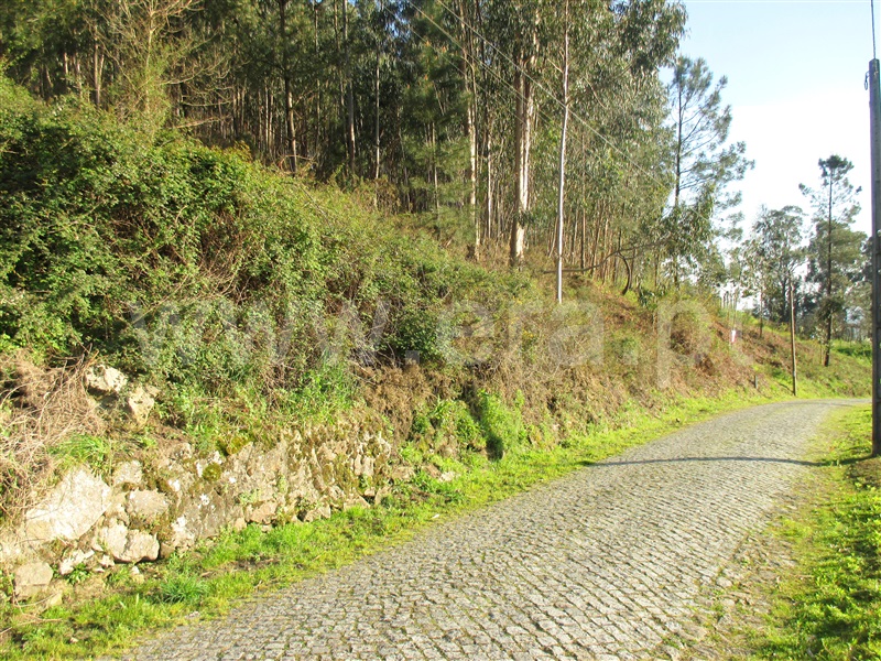 Terreno Misto / Barcelos, Moure