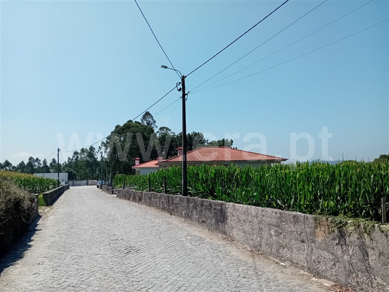 Terreno Misto  Barcelos, Negreiros e Chavão - 1420269 - 2