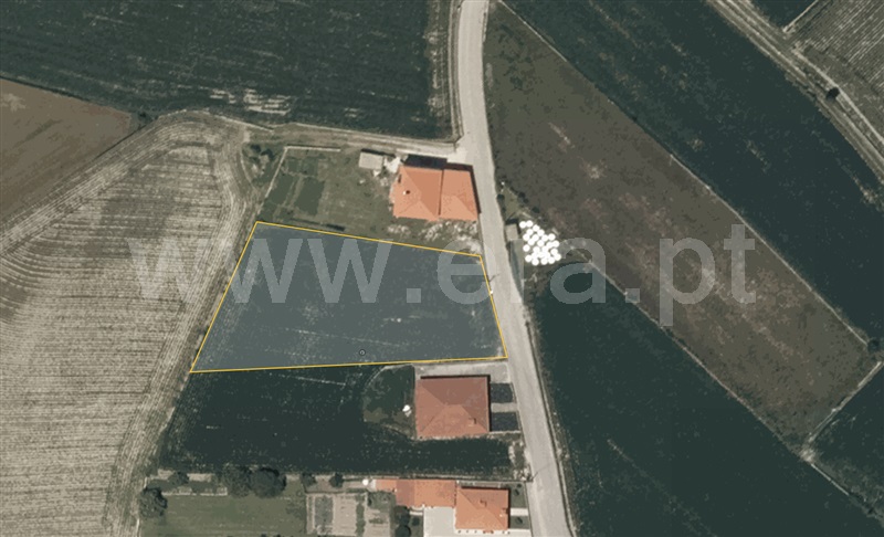 Terreno Misto  Barcelos, Negreiros e Chavão - 1420269 - 3