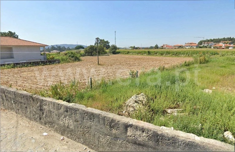 Terreno Misto / Barcelos, Negreiros e Chavão