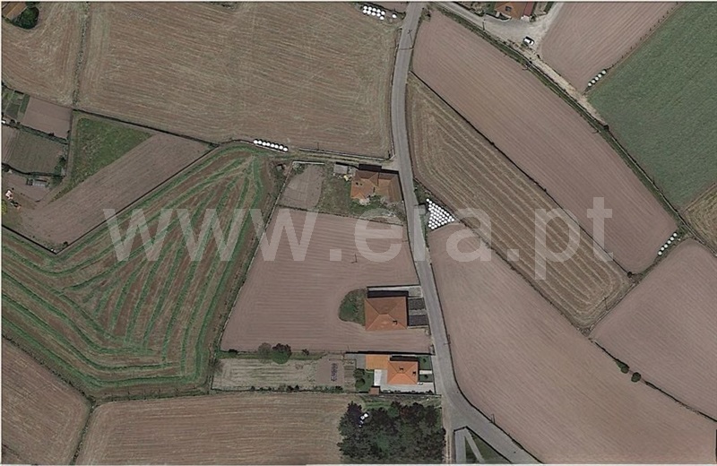 Terreno Misto  Barcelos, Negreiros e Chavão - 1420269 - 6