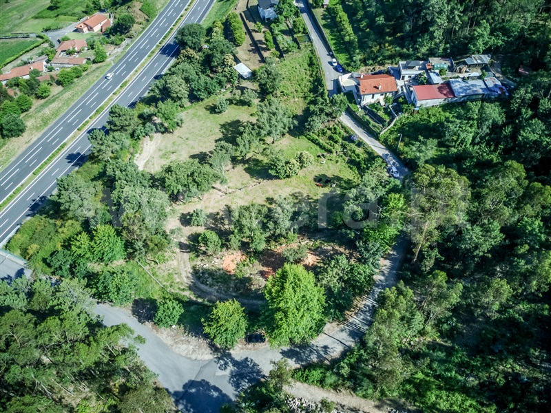 Terreno Misto / Barcelos, Oliveira