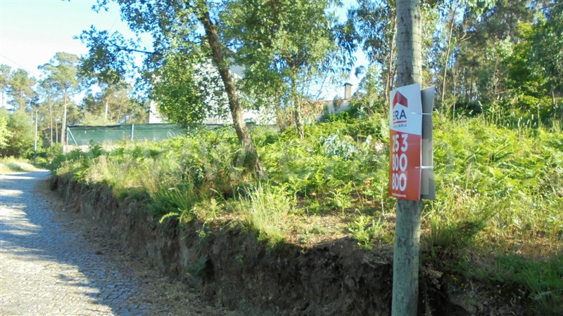 Terreno Misto / Barcelos, Palme