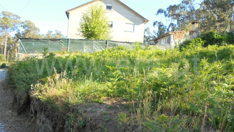 Terreno Misto  Barcelos, Palme - 1059105 - 4