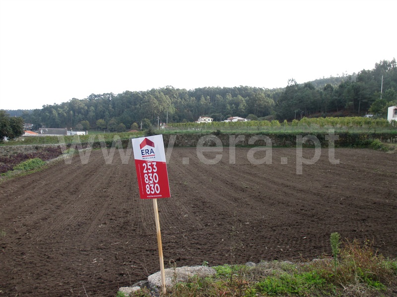 Terreno Misto / Barcelos, Pereira