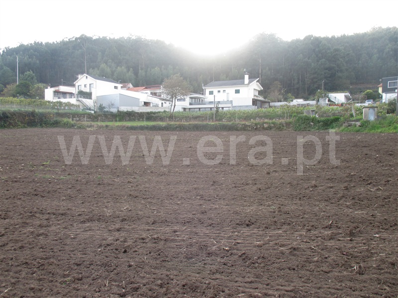 Terreno Misto  Barcelos, Pereira - 1082870 - 2