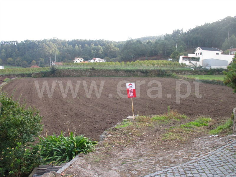 Terreno Misto  Barcelos, Pereira - 1082870 - 3