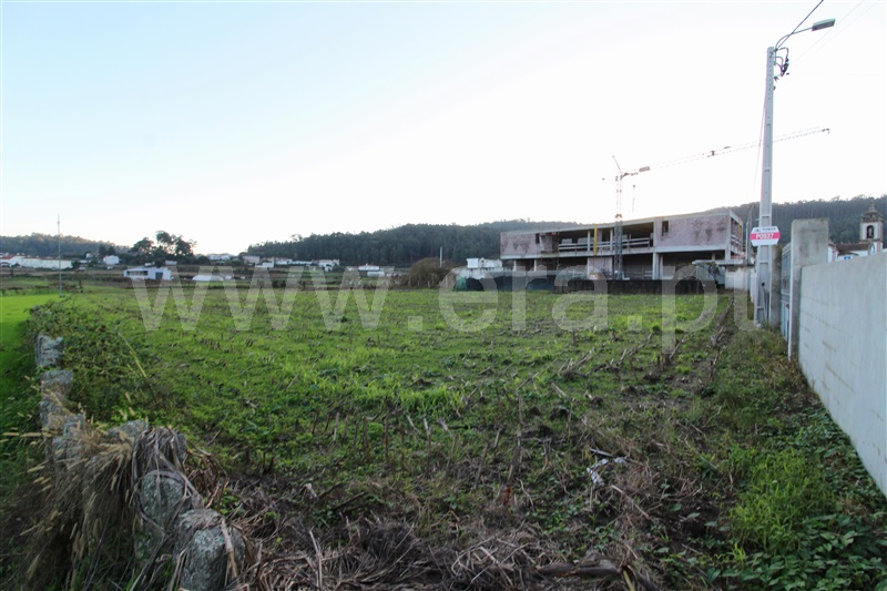 Terreno Misto  Barcelos, Pereira - 1286988 - 4