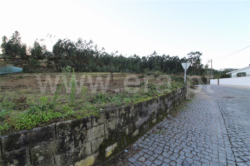 Terreno Misto  Barcelos, Pereira - 1286991 - 1