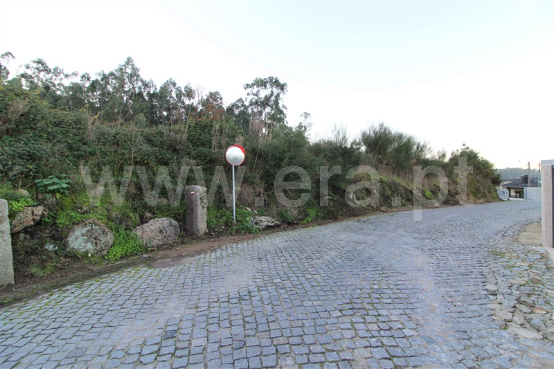 Terreno Misto  Barcelos, Pereira - 1286991 - 4