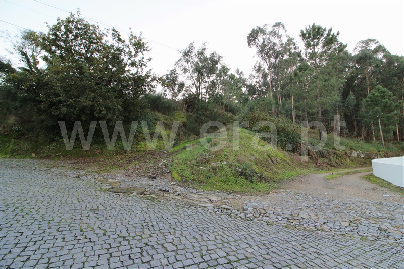Terreno Misto  Barcelos, Pereira - 1286991 - 5