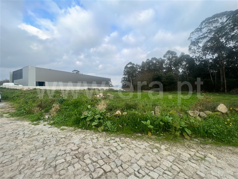 Terreno Misto / Barcelos, Perelhal