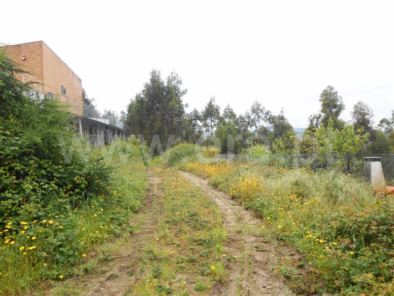 Terreno Misto / Barcelos, Remelhe