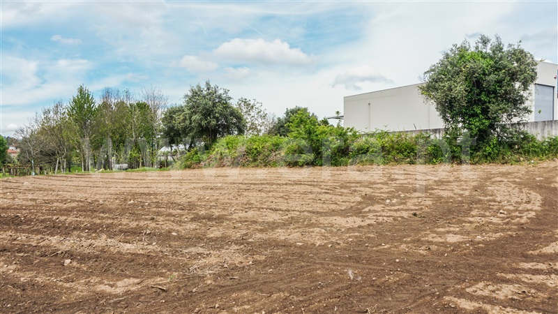 Terreno Misto / Barcelos, Roriz