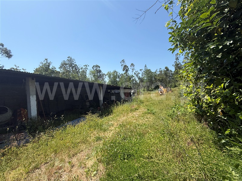 Terreno para Construção  Barcelos, Roriz - 1484802 - 1
