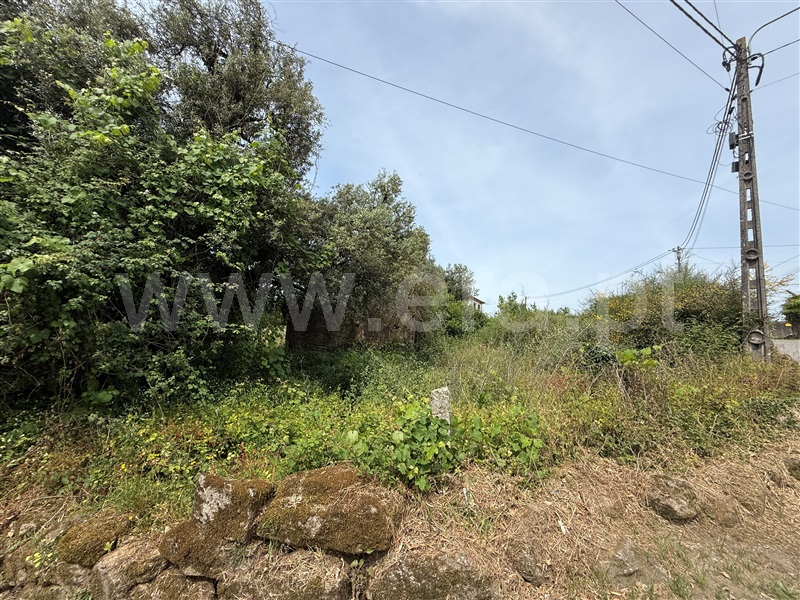Terreno Misto  Barcelos, Roriz - 1484802 - 5