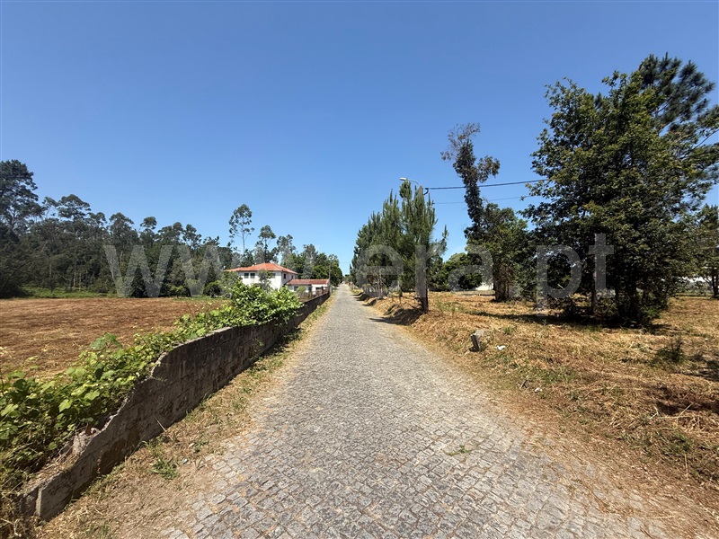 Terreno Misto  Barcelos, Roriz - 1484802 - 9