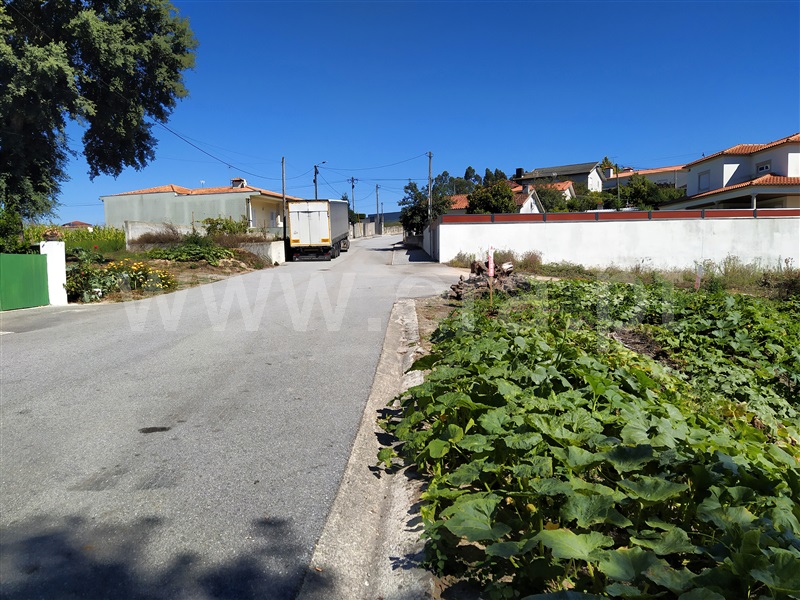 Terreno Misto  Barcelos, Silveiros e Rio Covo (Santa Eulália) - 1082723 - 3