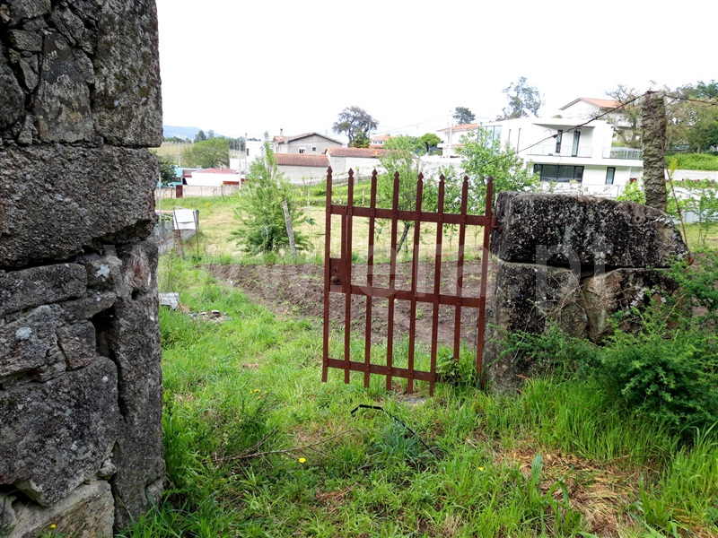Terreno Misto  Barcelos, Silveiros e Rio Covo (Santa Eulália) - 1085735 - 3